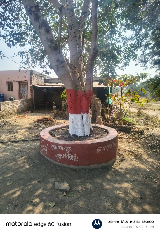 संपूर्ण गावातील झाडांना कटाडे व झाडांना कलर देण्यात आला